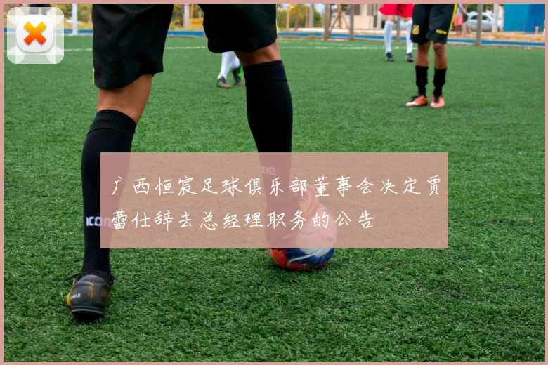 广西恒宸足球俱乐部董事会决定贾蕾仕辞去总经理职务的公告
