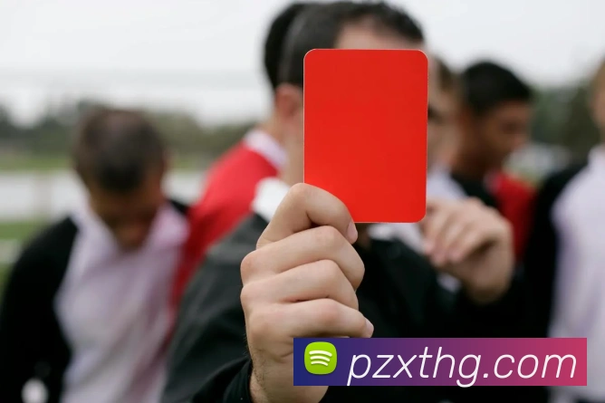 对战数据统计